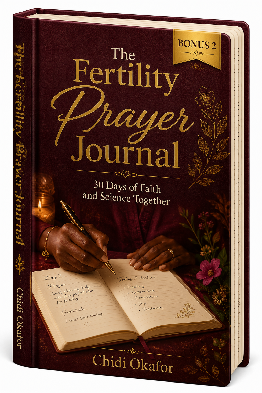 Bonus 2: The Fertility Prayer Journal